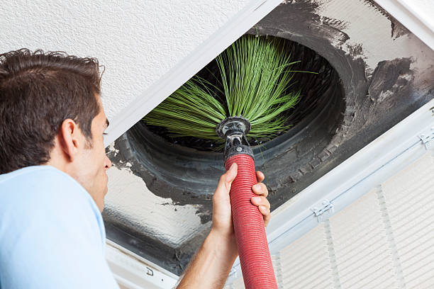 Best Residential Air Duct Cleaning  in Pierce, NE